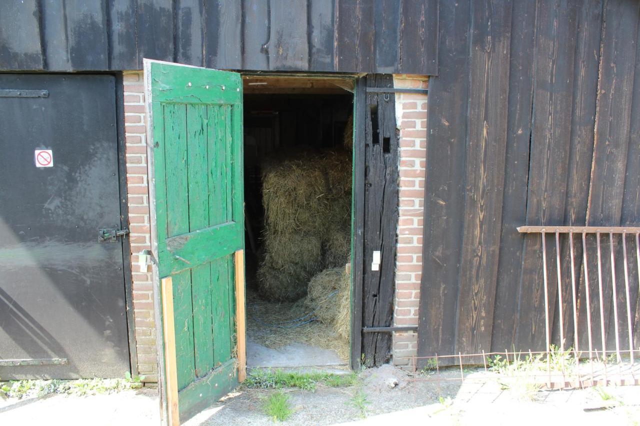 De Distelweide Bed & Breakfast Holsloot Exterior foto